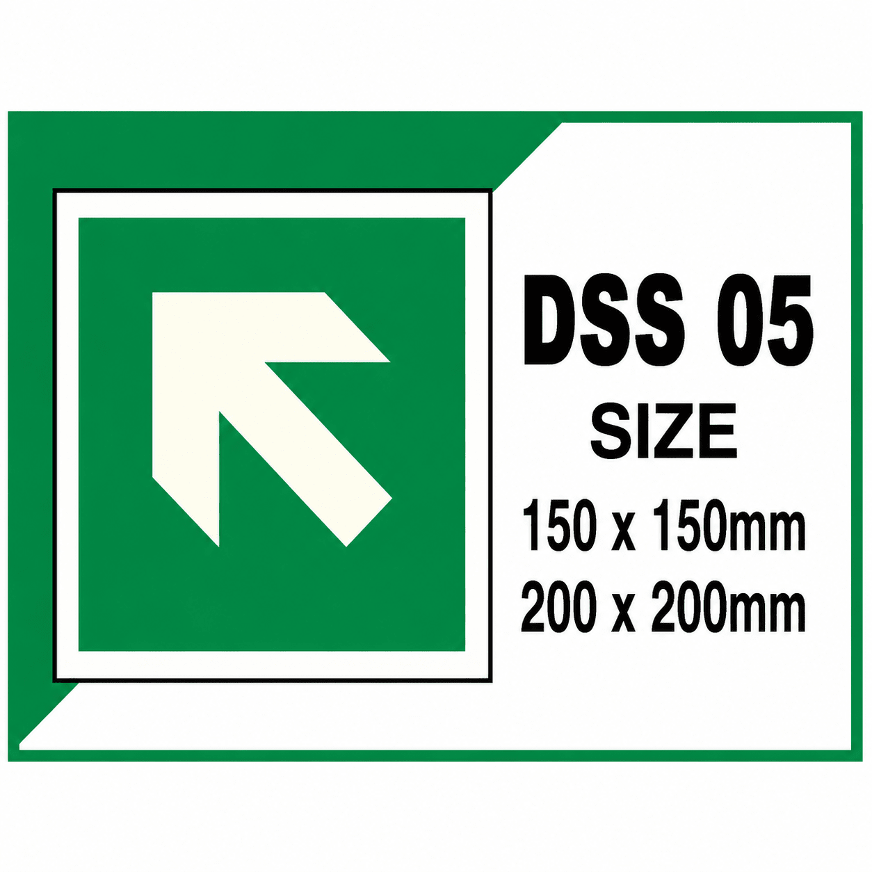 DSS 05