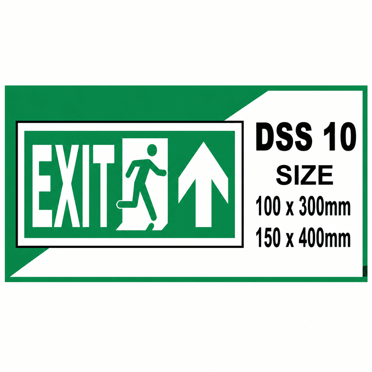 DSS 10